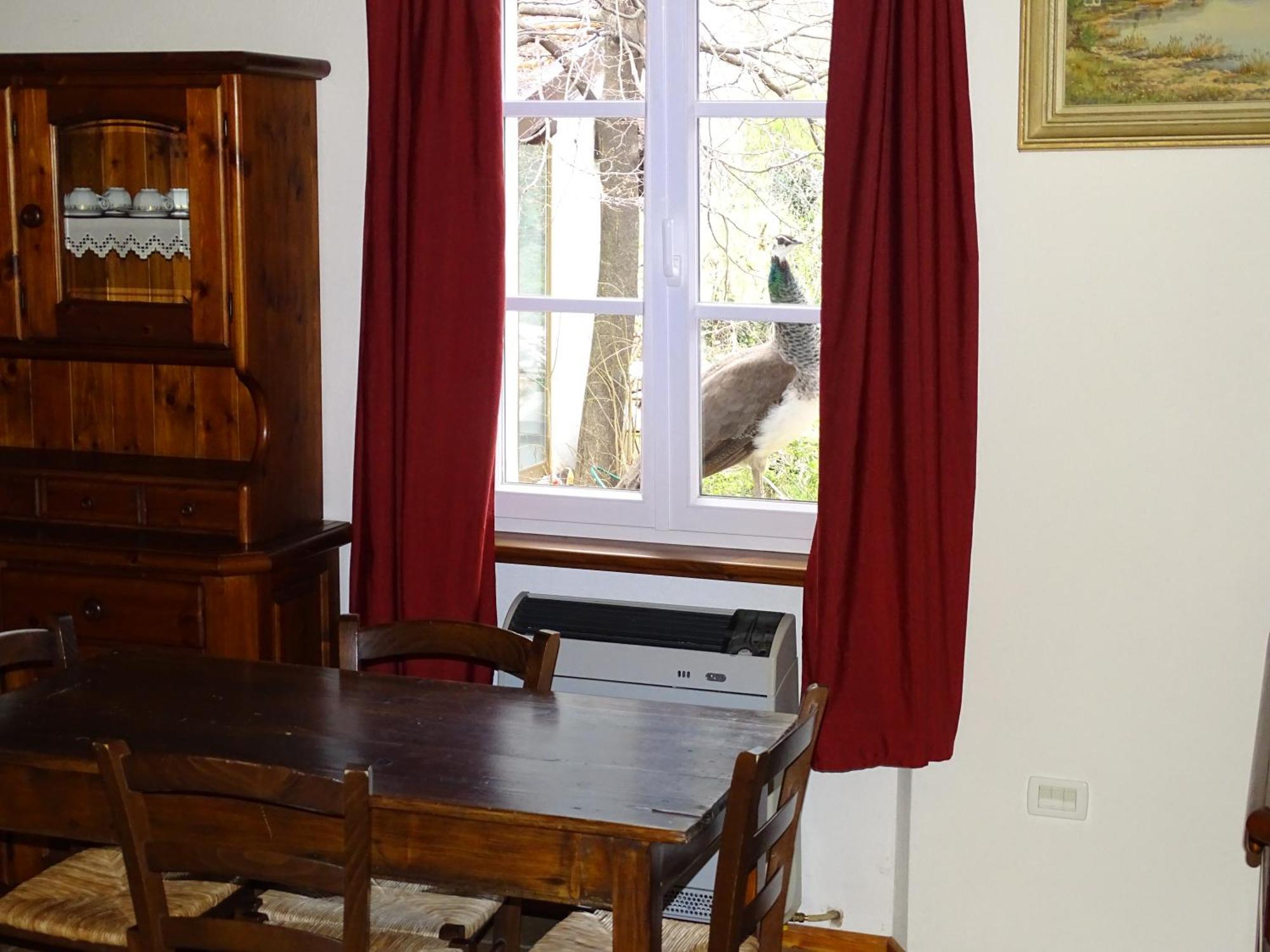 Casa Delle Risorgive Hotel Venzone Bagian luar foto