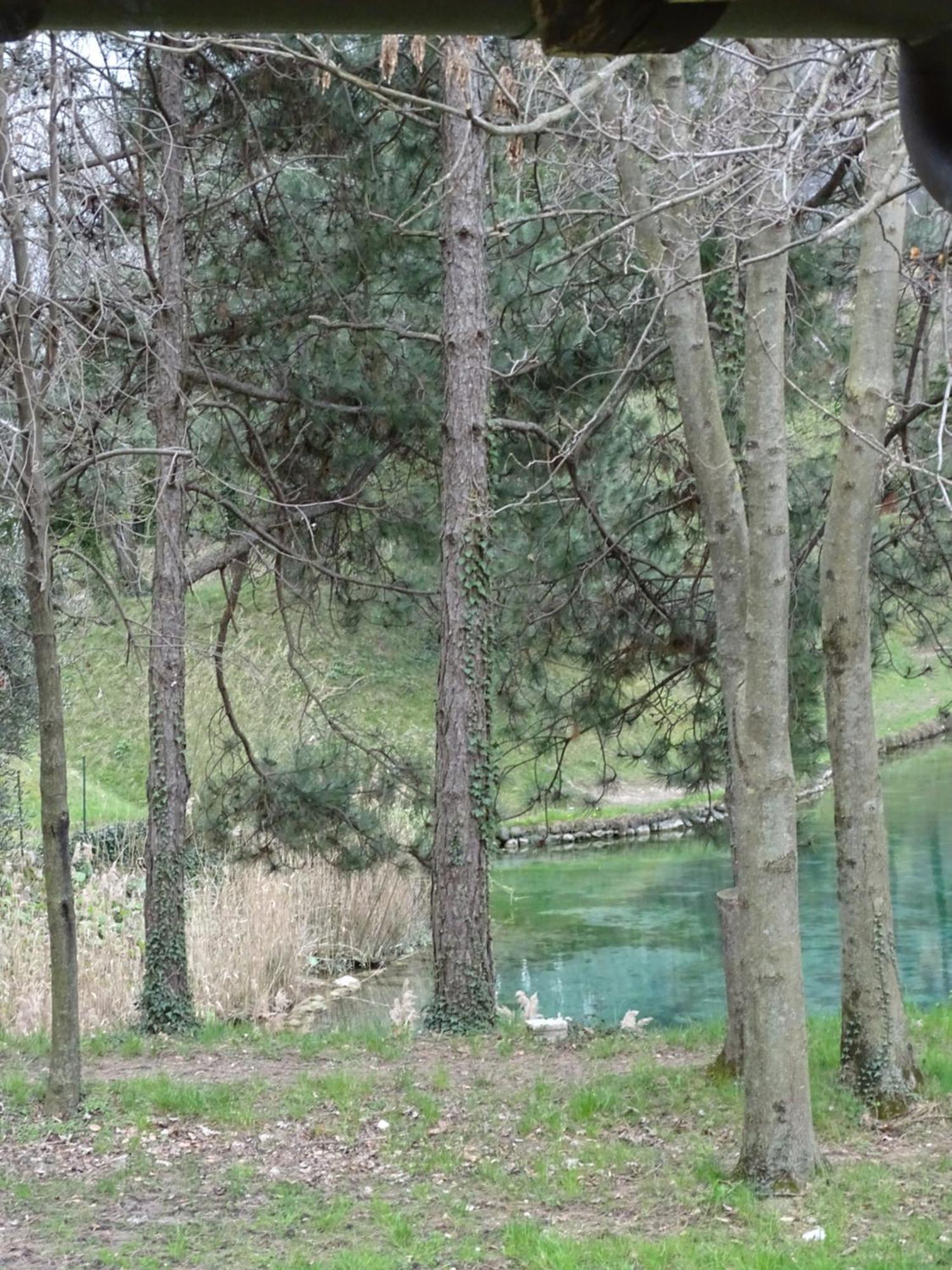 Casa Delle Risorgive Hotel Venzone Bagian luar foto