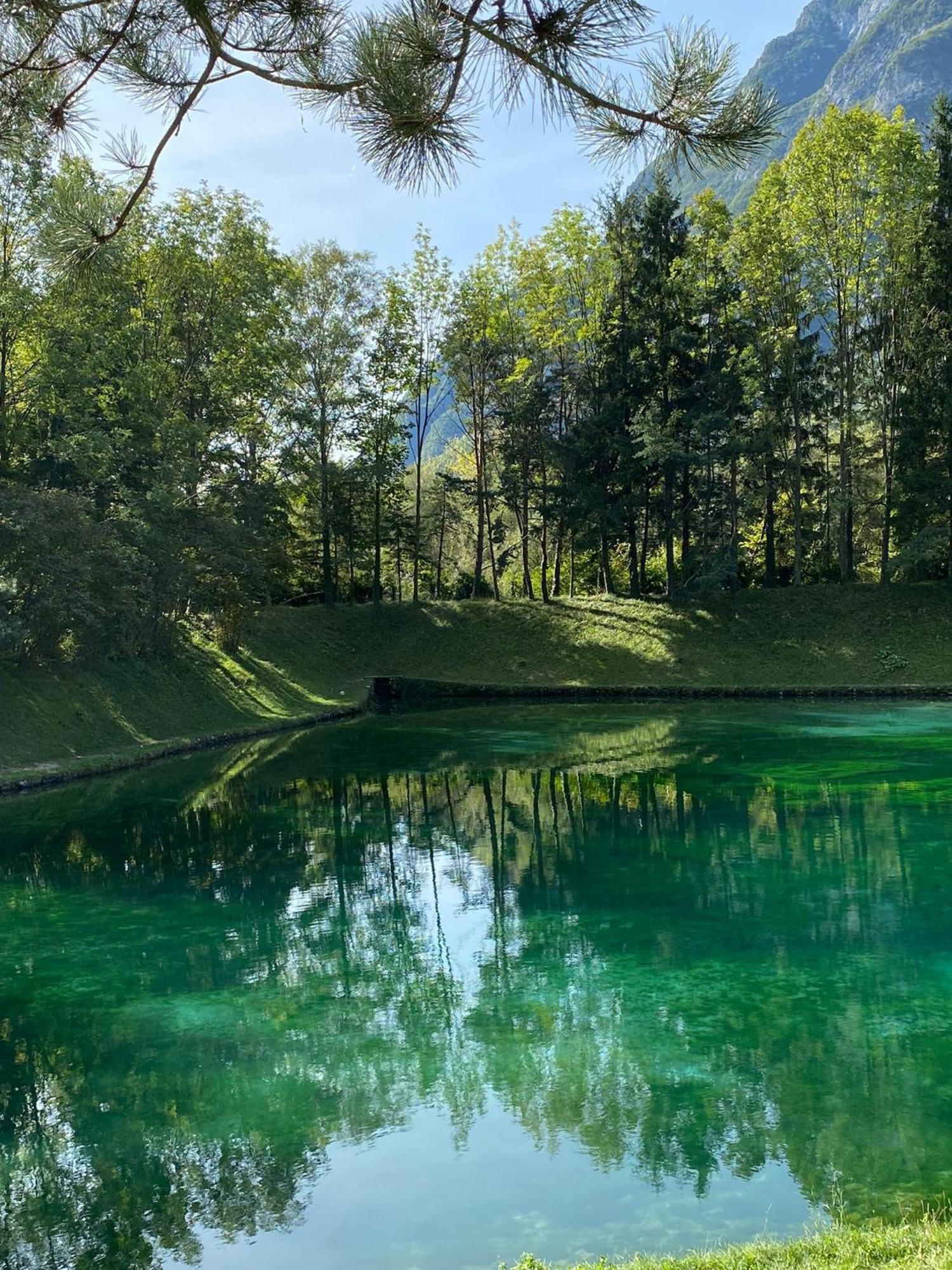Casa Delle Risorgive Hotel Venzone Bagian luar foto